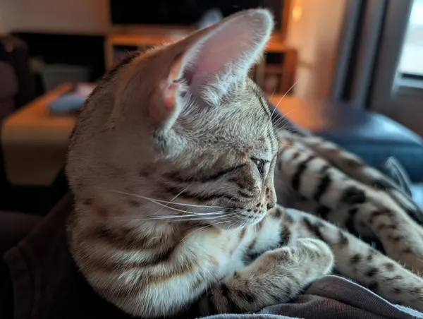Ember photo 57