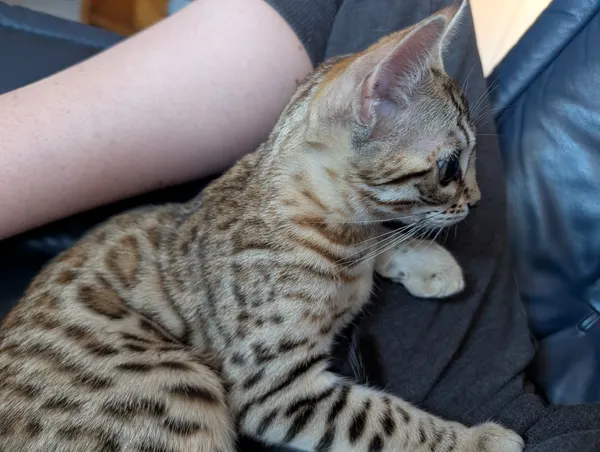 Ember photo 70